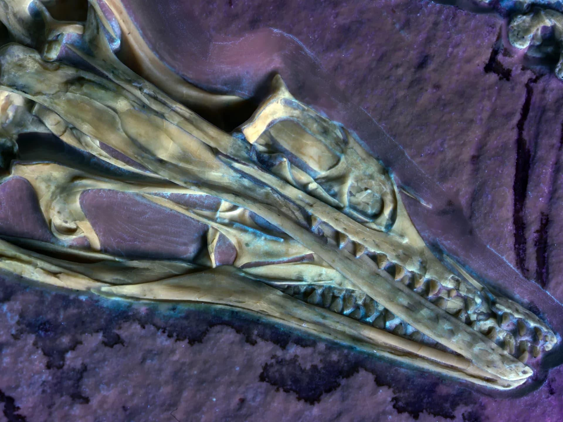 Closeup of the Chicago Archaeopteryx