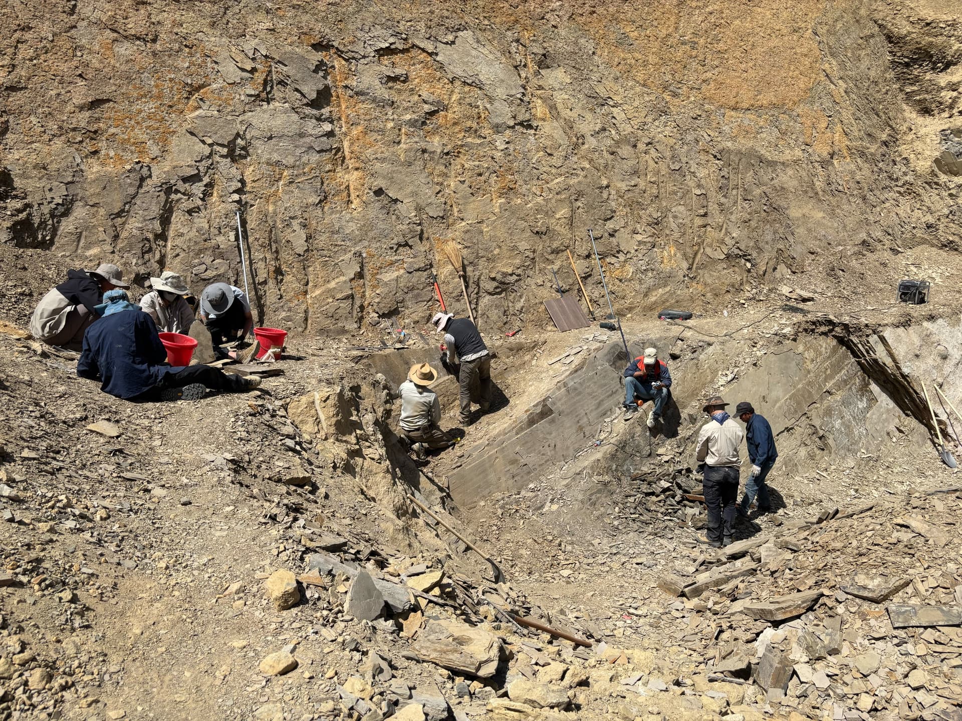 Jingmai O'Connor during field work