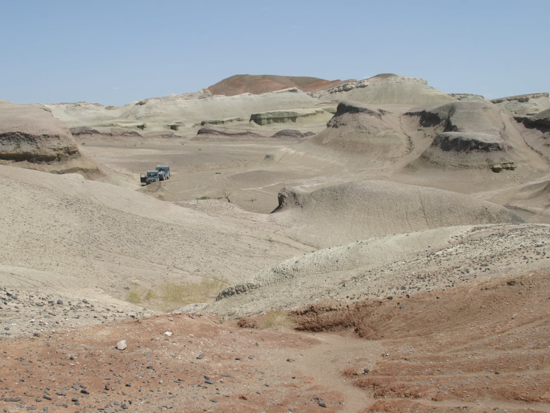 Jingmai O'Connor during field work
