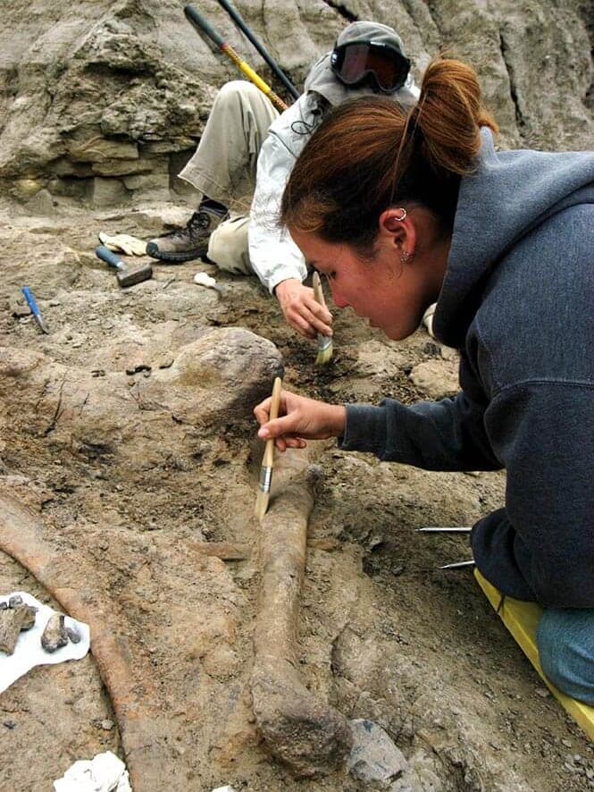 Jingmai O'Connor during field work