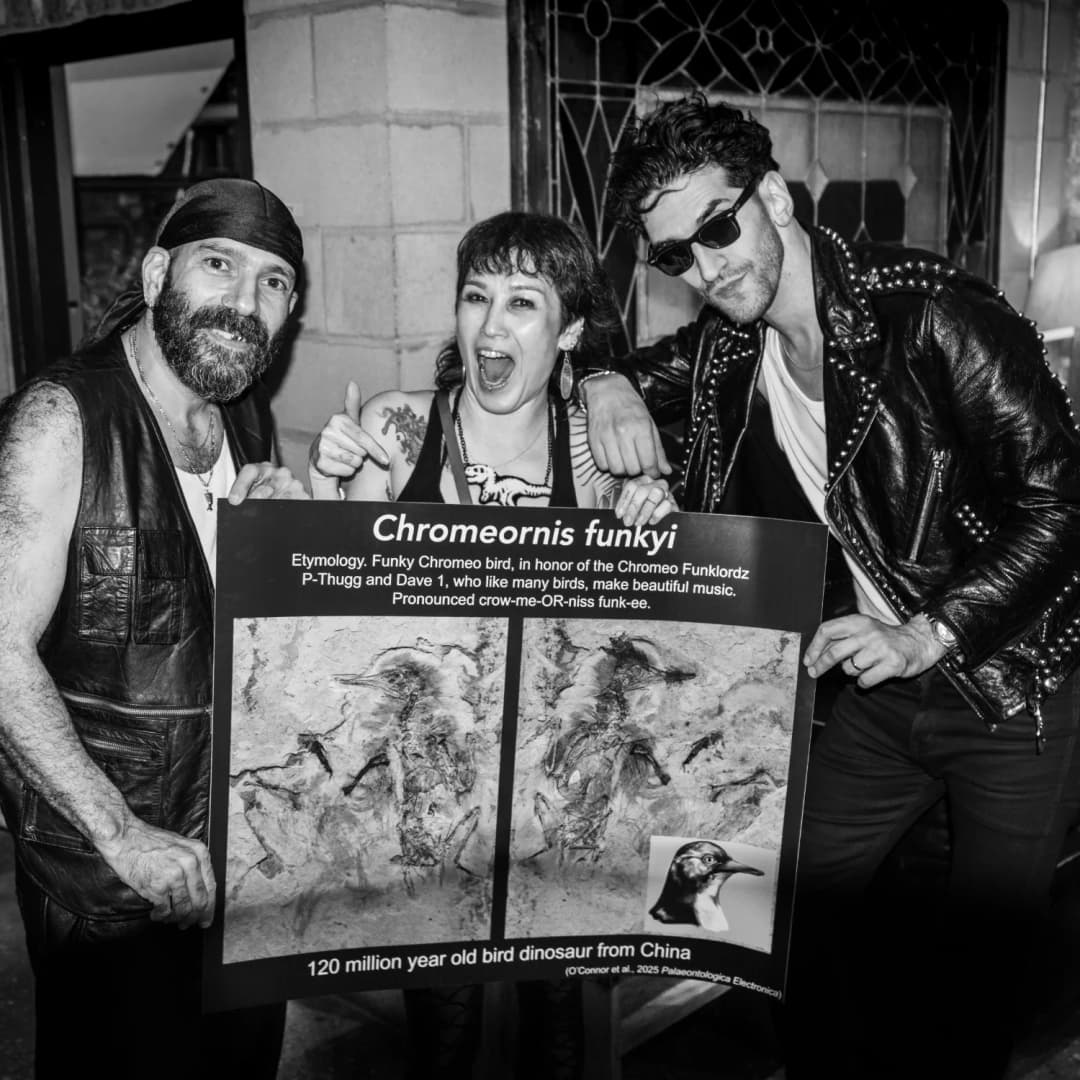 Image of Jingmai O'Connor and Chromeo